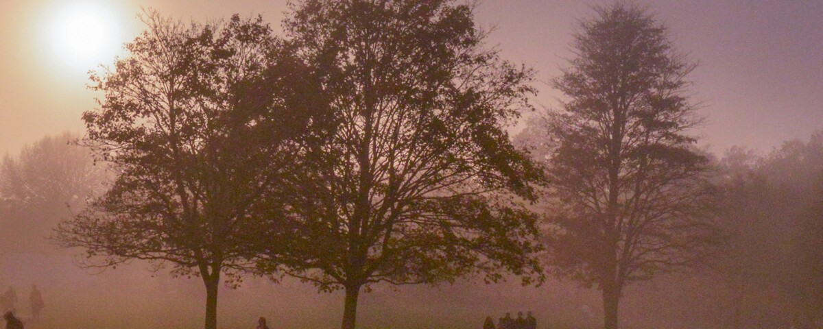 People walking through a foggy London park on an autumn evening