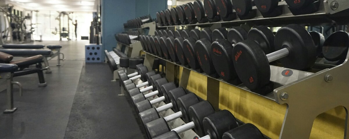 A rack of dumbbells lined up along a gym wall